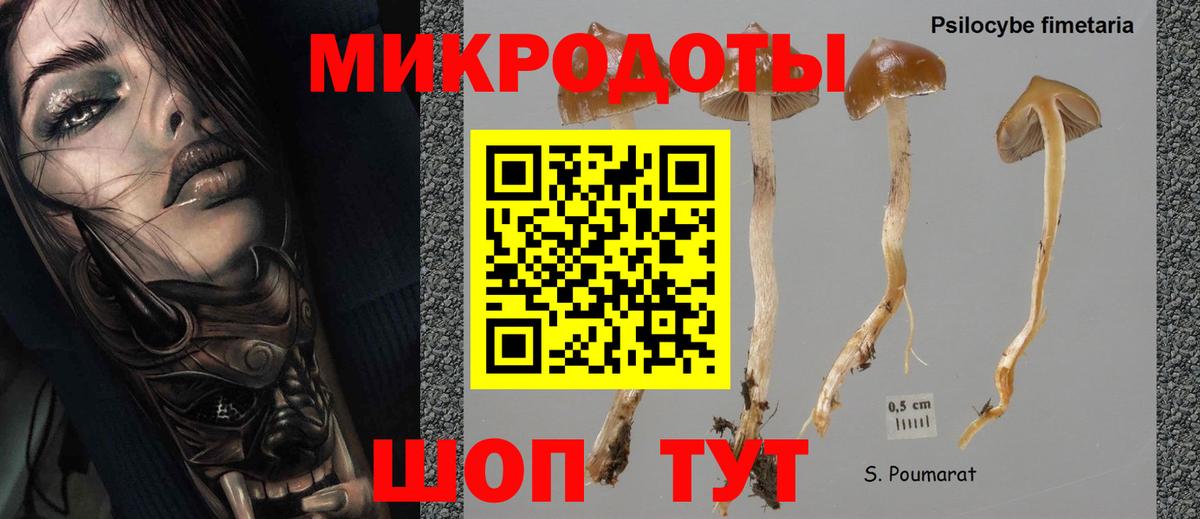 Галлюциногенные грибы Cubensis Орёл